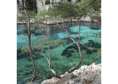 Visit the first 5 calanques by boat from the port of Cassis
