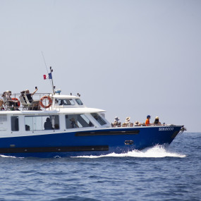 Bateaux privatisés & Groupes + de 20 personnes