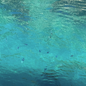 3 calanquess + relaxation stop (2:00h)